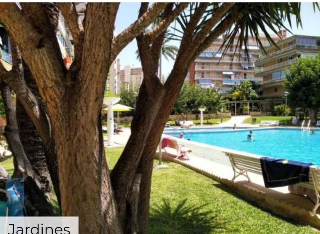 Apartamento Entero En La Playa San Juan Benacantil Alicante Kültér fotó
